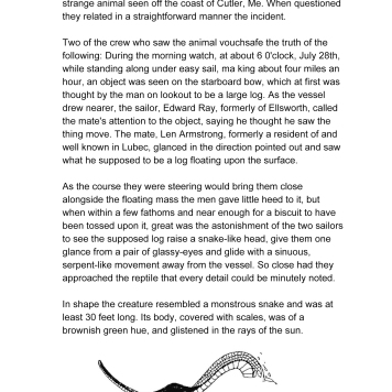 Crew of the Schooner Madagasca Saw a Great Snake - Page1